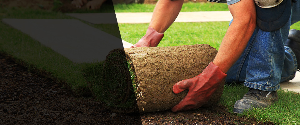 Somerset Landscapers